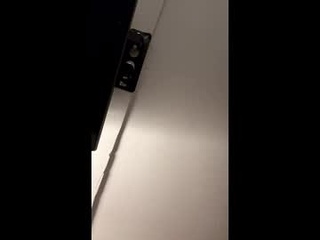 shreddylong
