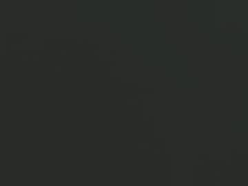 slimdikshady