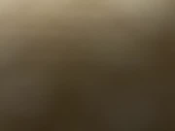 sparky13679108