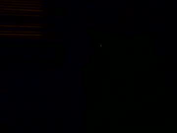 spooky_the_bear1115__
