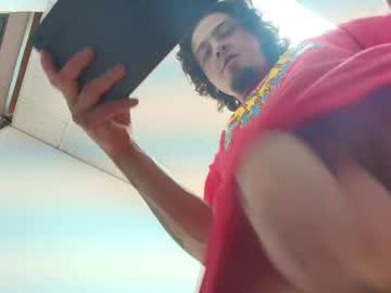 steiner_01