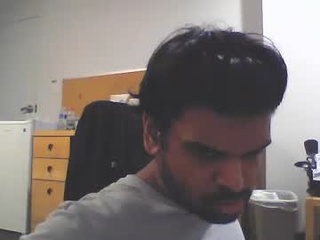 sundoog