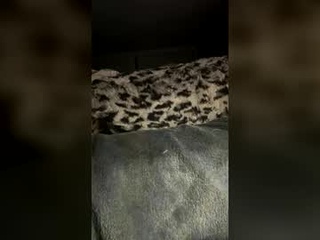 sweetkacibaby