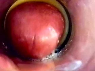 sweetkreme69