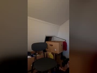sweporn95