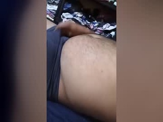 tacuachin