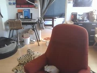 theshowercock