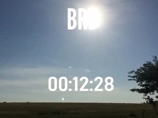 ulmo_br