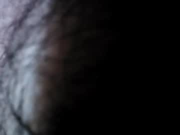 utahdog