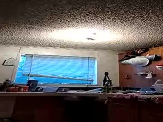velvettemptation69