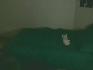 viola_bunny