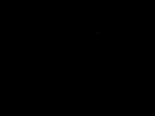 wfillmore