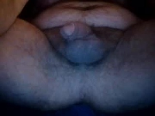 whitemeatblacksheepgobeep