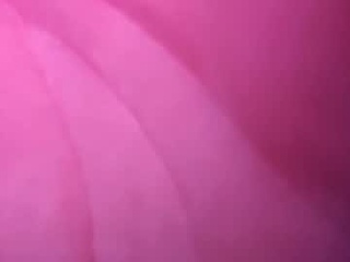 wyiatt_unknown