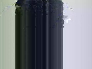 yangolox3