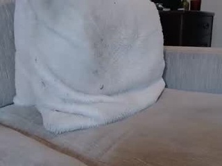 yknotnsc2