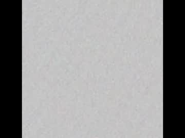 zirx4