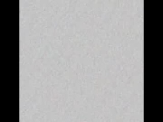 zirx4